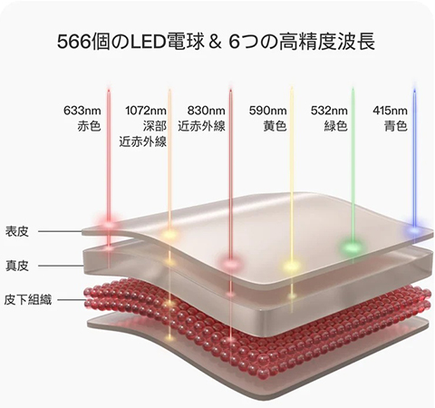 科学的根拠